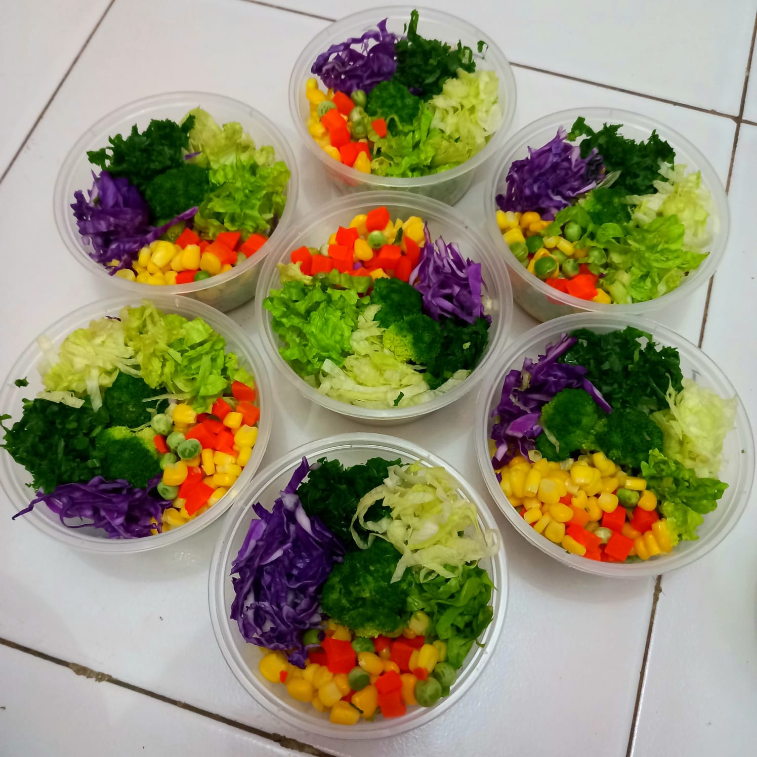 Salad Sayur